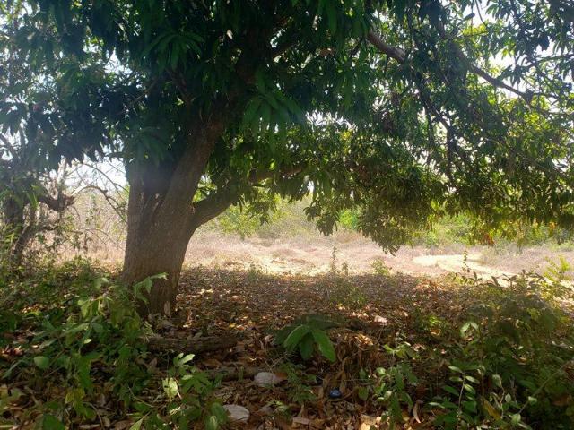 Terreno en venta en Barra Vieja, Acapulco de Juárez, Guerrero
