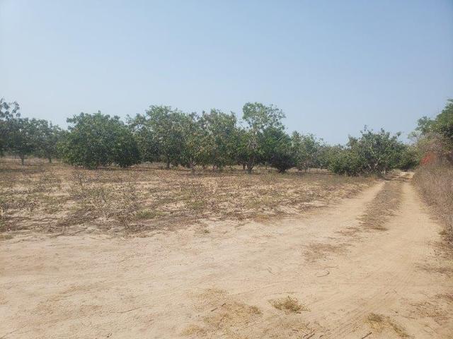 Terreno en venta en Barra Vieja, Acapulco de Juárez, Guerrero