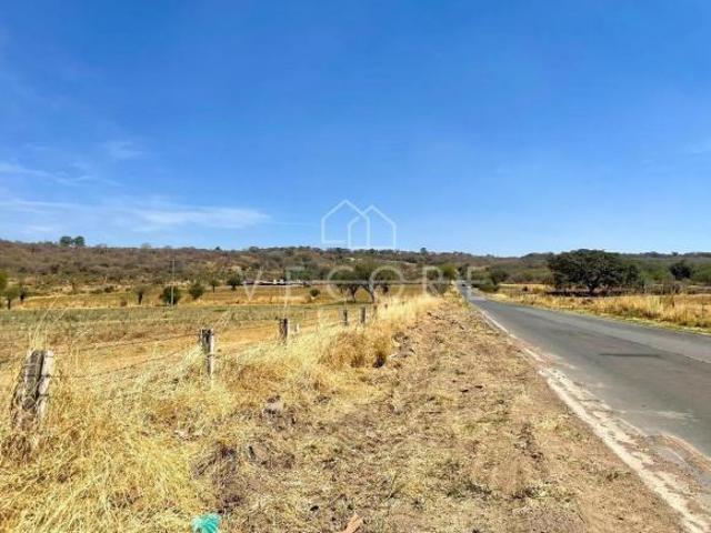 TERRENO EN VENTA EN BARRANCA DE HUENTITÁN, ZAPOTLANEJO