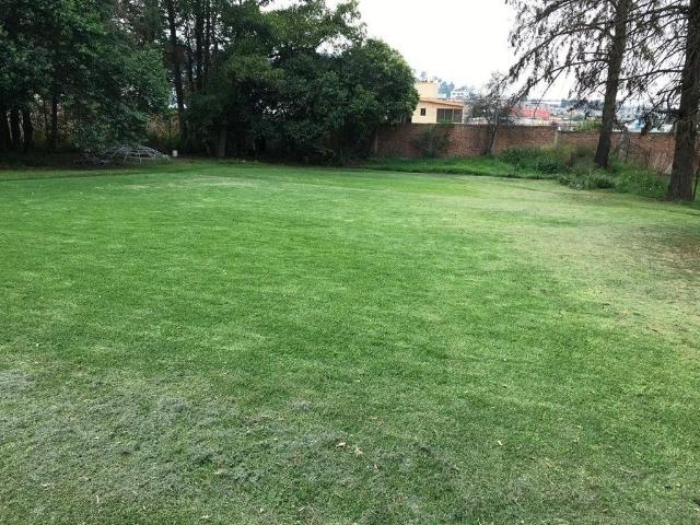 Terreno en venta en Barrio de los Chincolas, Tlamanalco, Estado de M?xico