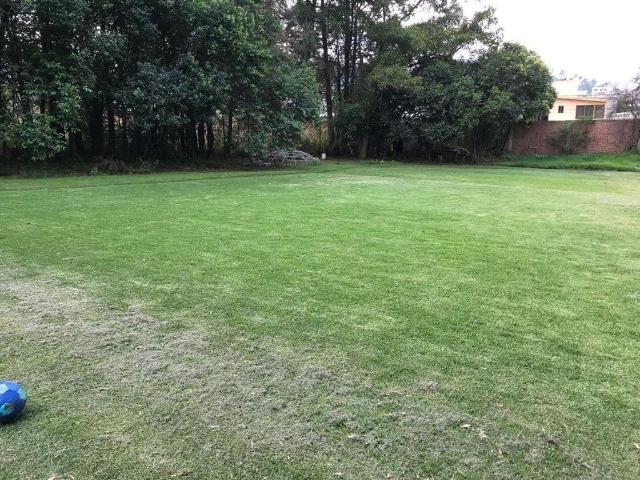 Terreno en venta en Barrio de los Chincolas, Tlamanalco, Estado de M?xico