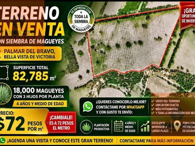 Terreno en venta en Bella Vista de Victora, Palmar de Bravo, Puebla