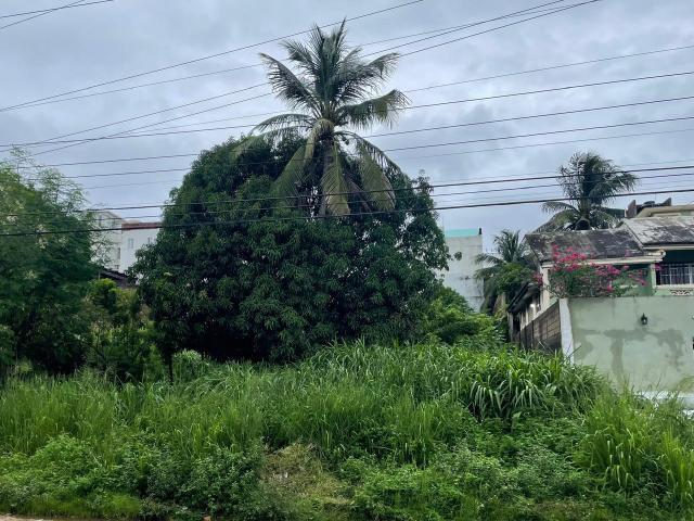 TERRENO EN VENTA EN BENITO JU?REZ, COLONIA PALMA SOLA, COATZACOALCOS, VERACRUZ