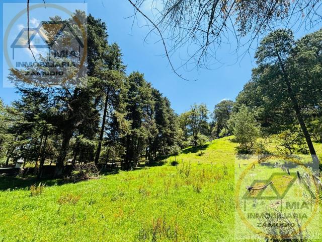Terreno en venta en Bosque de Ciclo Verde Las Vigas Veracruz