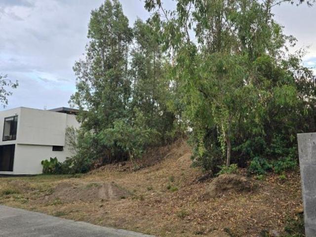 Terreno en Venta en Bosque del Romeral | Junto a Rancho Contento | Cerca del Instituto de Ciencias