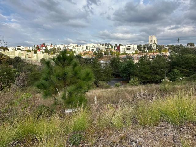 Terreno en venta en Bosque Monarca, Morelia, Michoacán de Ocampo