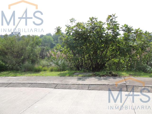 Terreno en venta en Bosque Real