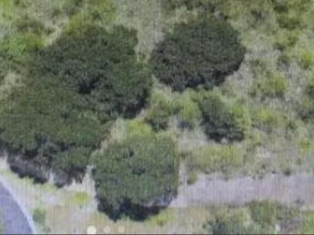 TERRENO EN VENTA EN BOSQUE REAL