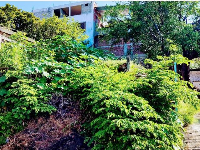 Terreno en venta en Bosques de la Cañada, Acapulco de Juárez, Guerrero