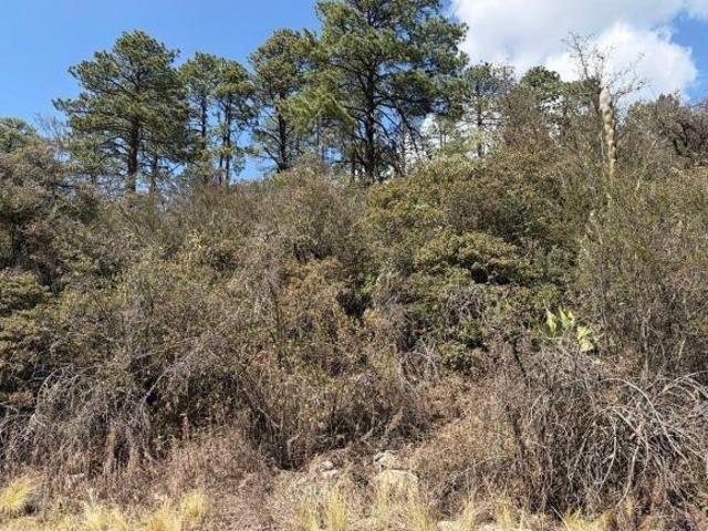Terreno en Venta en Bosques de Monterreal