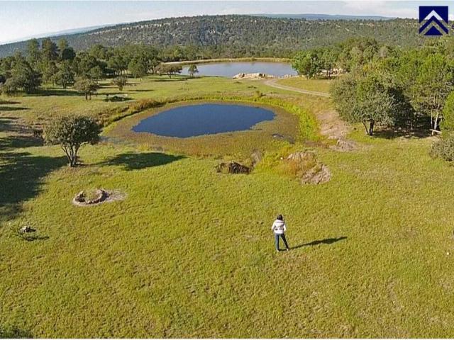 Terreno en venta en Bosques de Montesión, Durango, Durango