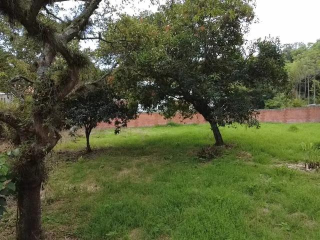 Terreno en venta en Briones