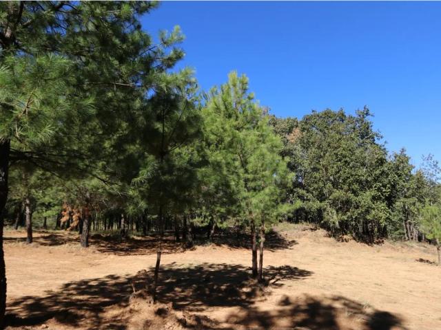 Terreno en venta en Cuanajo, Pátzcuaro, Michoacán de Ocampo