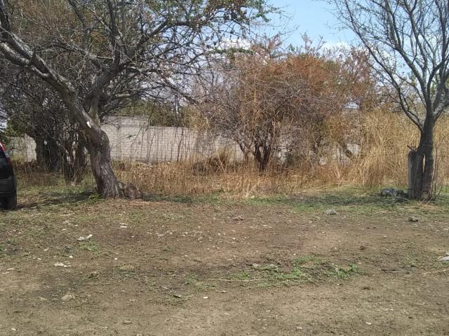 TERRENO EN VENTA EN CUAUTLA MORELOS