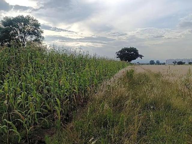 Terreno en venta en Cuautlancingo