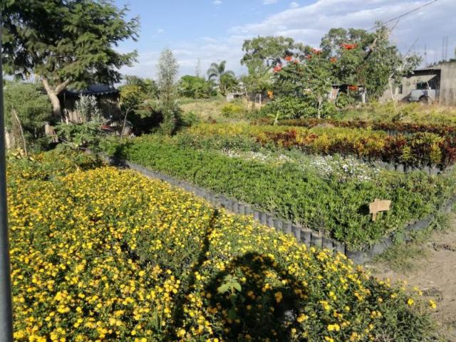 Terreno en venta en Cuautlixco, Cuautla, Morelos