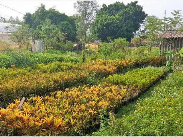 Terreno en venta en Cuautlixco, Cuautla, Morelos