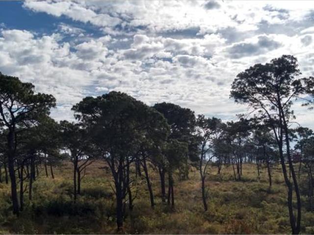 Terreno en venta en Cuauhtemoc, Cuauhtémoc, Colima