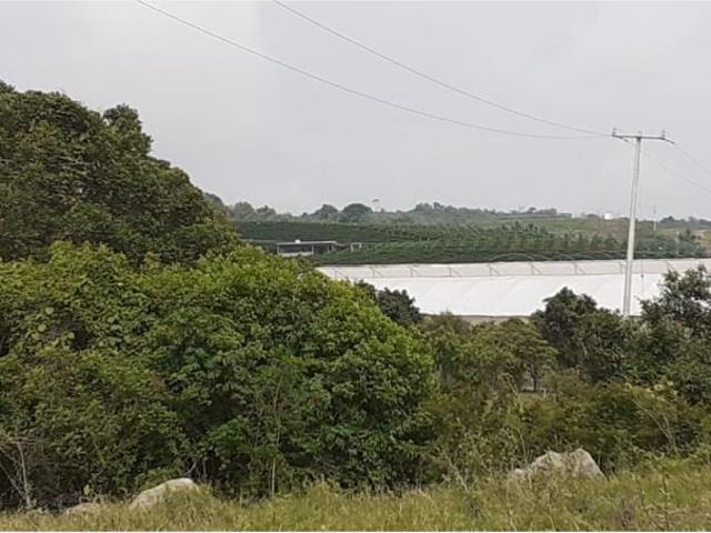 Terreno en venta en Cuauhtemoc, Cuauhtémoc, Colima