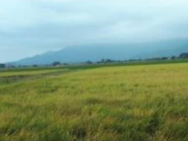 Terreno en venta en Cuauhtemoc, Cuauhtémoc, Colima