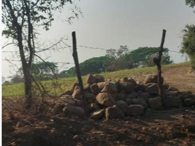 Terreno en venta en Cuauhtemoc, Cuauhtémoc, Colima