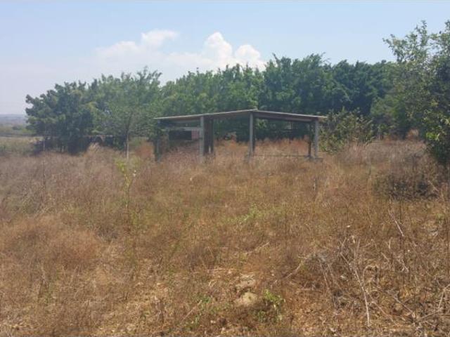Terreno en venta en Cuauhtemoc, Cuauhtémoc, Colima