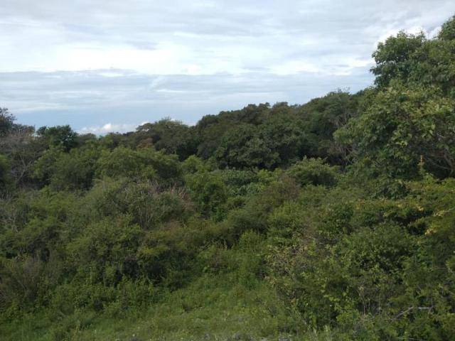 Terreno en venta en Cuauhtemoc, Cuauhtémoc, Colima