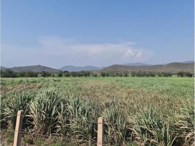 Terreno en venta en Cuauhtemoc, Cuauhtémoc, Colima