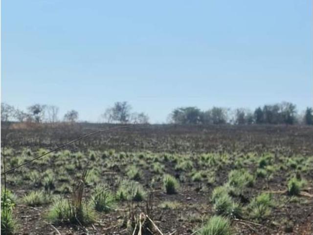 Terreno en venta en Cuauhtemoc, Cuauhtémoc, Colima