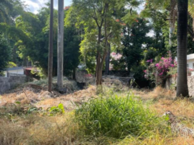 Terreno en Venta en Cuernavaca, Morelos – Ubicación Privilegiada