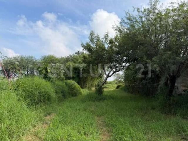 Terreno En Venta En Cajititlan, Tlajomulco De Zuñiga, Jalisco