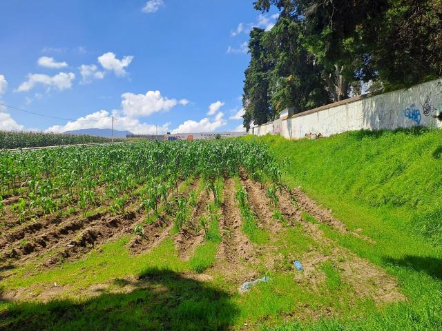 TERRENO EN VENTA EN CALIMAYA MEXICO