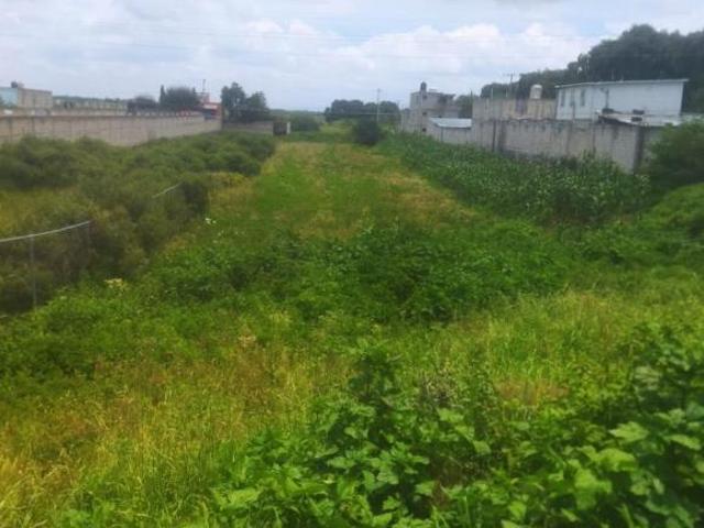 TERRENO EN VENTA EN CALIMAYA, SAN ANDRES OCOTLAN