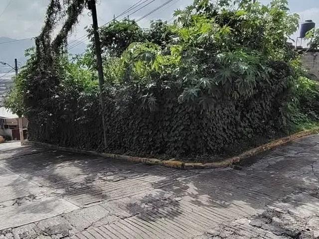 TERRENO EN VENTA EN CALLE PINO, TLALNEPANTLA DE BAZ