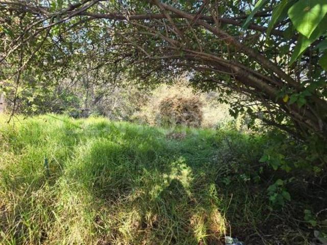 TERRENO EN VENTA EN CALZADA DE LAS ÁGUILAS 1741, LOMAS DE GUADALUPE, AO CDMX