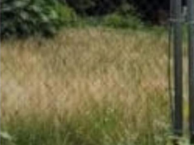Terreno en venta en Camelinas, Morelia, Michoacán de Ocampo