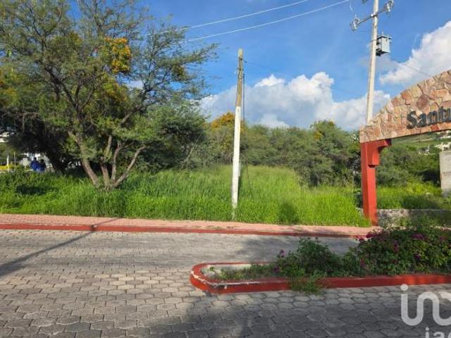 Terreno en Venta en Camino a Los Olvera