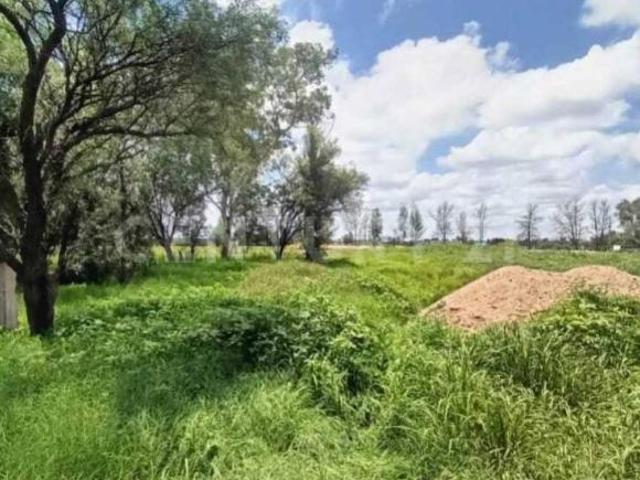 Terreno en Venta en Camino Antiguo a San Ignacio km 1, Granja Santa Rita, Ags