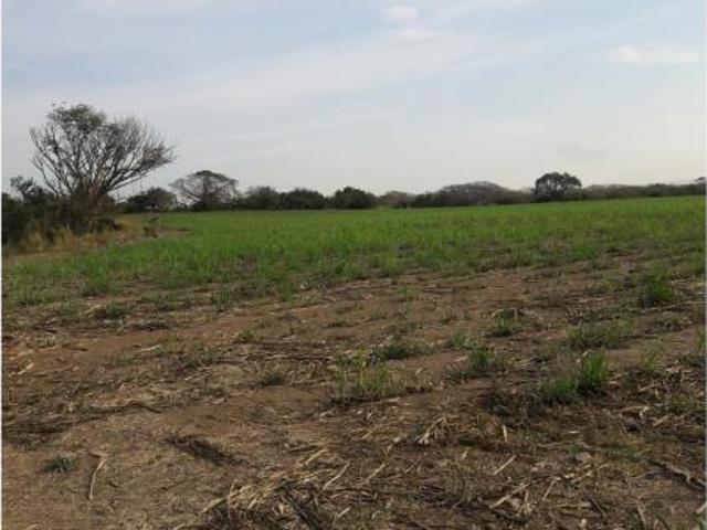 Terreno en venta en Camino Real, Colima, Colima