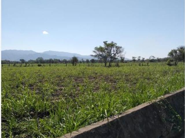 Terreno en venta en Camino Real, Colima, Colima