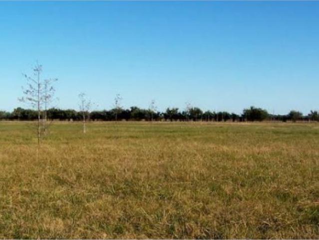 Terreno en venta en Camino Real, Colima, Colima