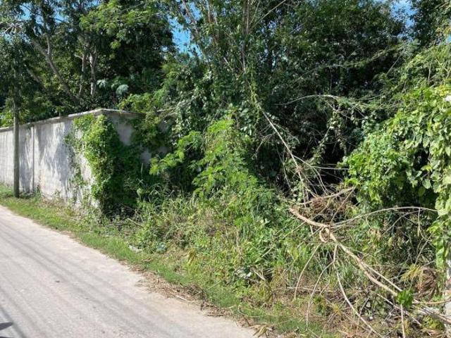 TERRENO EN VENTA EN CAMPECHE: IMI 1