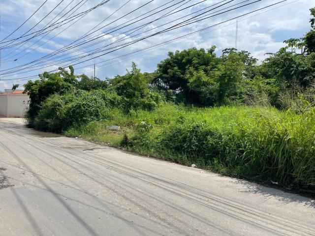 TERRENO EN VENTA EN CAMPECHE SAMULA CALLE 5
