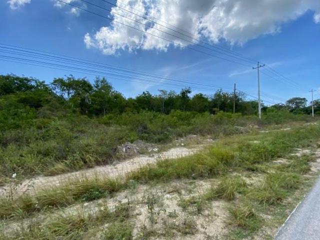 TERRENO EN VENTA EN CANCUN SOBRE CARRETERA PETEMPICH