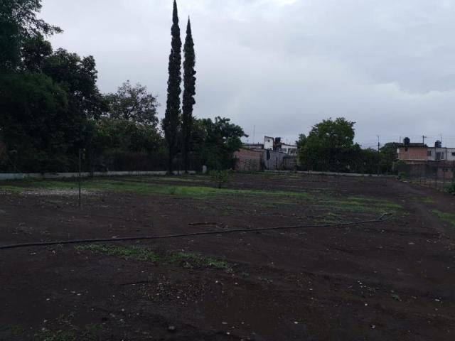 Terreno en venta en Casasano, Cuautla, Morelos