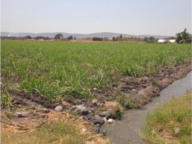 Terreno en venta en Casasano, Cuautla, Morelos