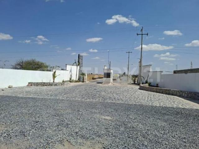 Terreno en Venta en Carr.San Fco de los Viveros a Sn José de la Ordeña El LLano