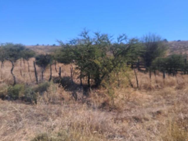 Terreno en Venta en Carretera Durango Parral