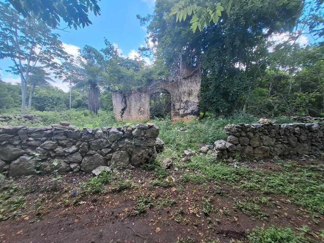 TERRENO EN VENTA EN CARRETERA HACIA CANC?N,CHEMAX, CON GRUTAS,CENOTES Y MAS