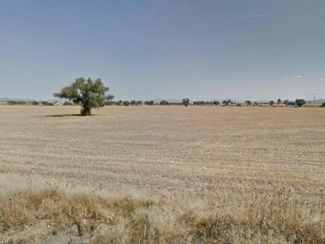 Terreno en Venta en Carretera México Pachuca